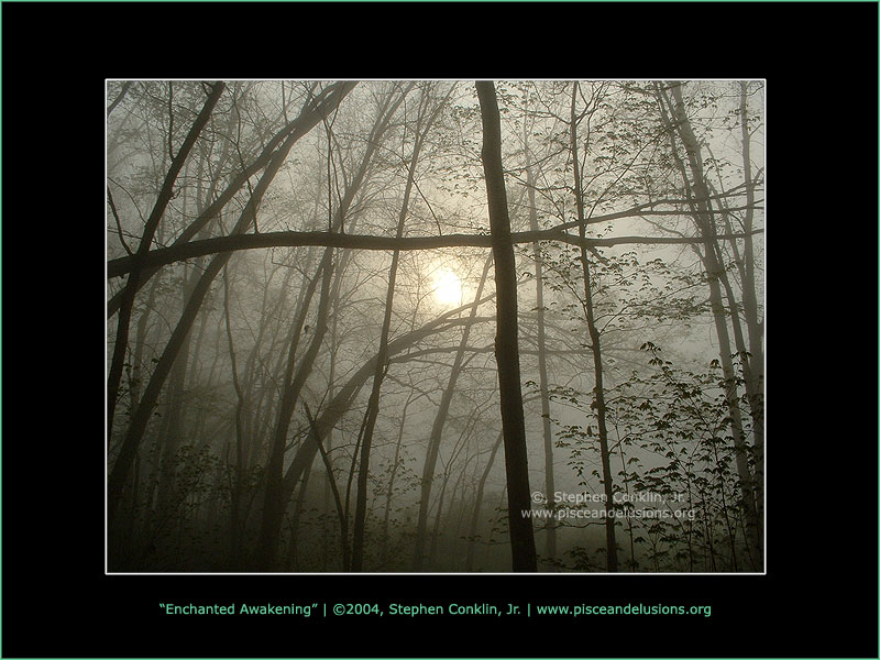 Enchanted Awakening, by Stephen Conklin, Jr. - www.pisceandelusions.org