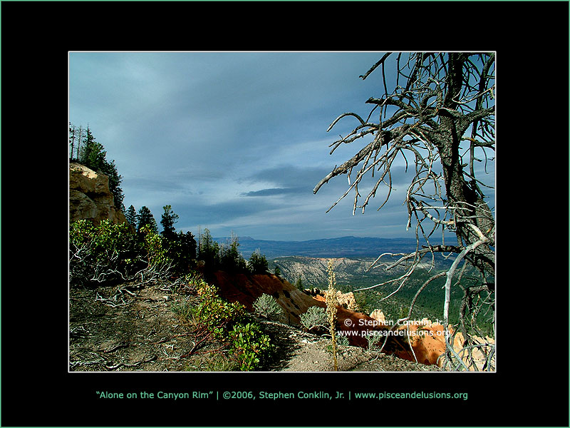Alone on the Canyon Rim Alone on the Canyon Rim