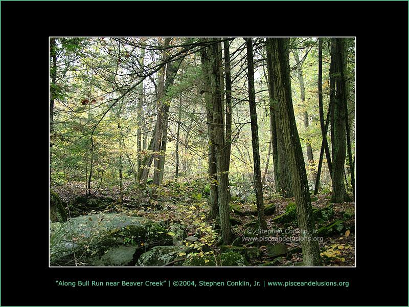 Along Bull Run near Beaver Creek Along Bull Run near Beaver Creek