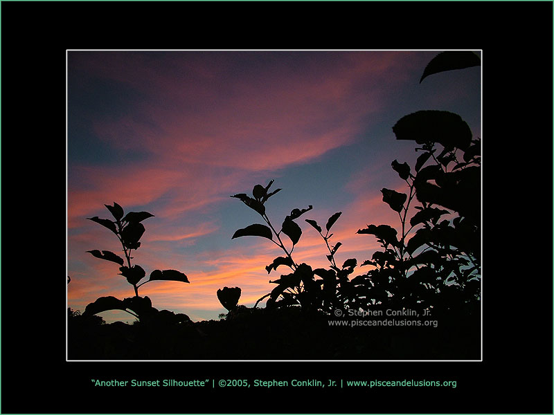 Another Sunset Silhouette Another Sunset Silhouette
