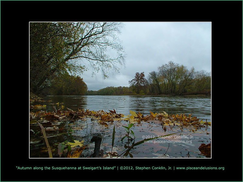 Autumn along the Susquehanna River at Sweigart's Island Autumn along the Susquehanna River at Sweigart's Island