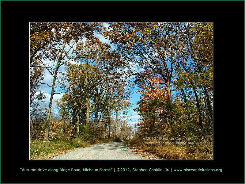 Autumn drive along Ridge Road, Michaux State Forest Autumn drive along Ridge Road, Michaux State Forest