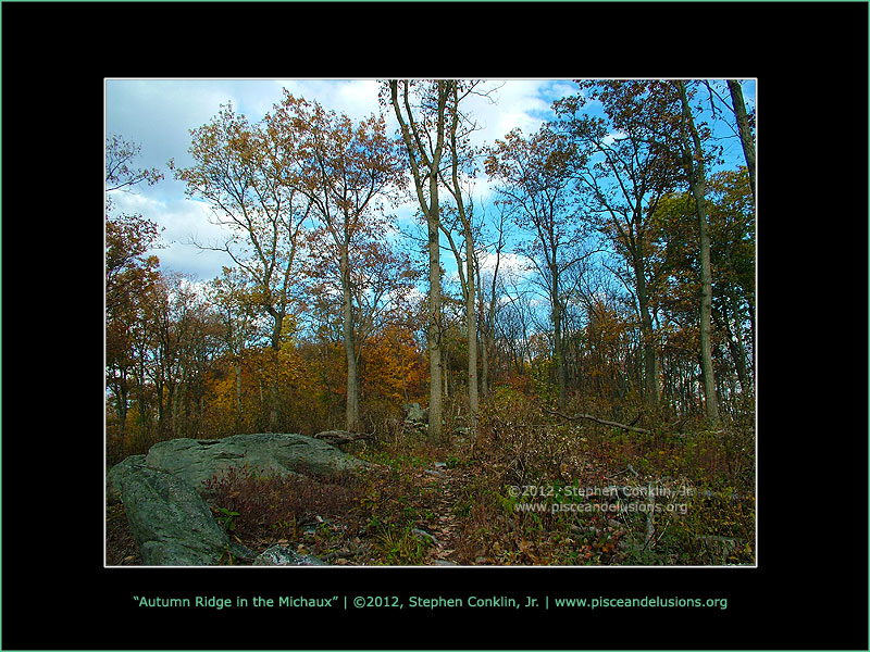 Autumn Ridge in the Michaux (2012) Autumn Ridge in the Michaux (2012)