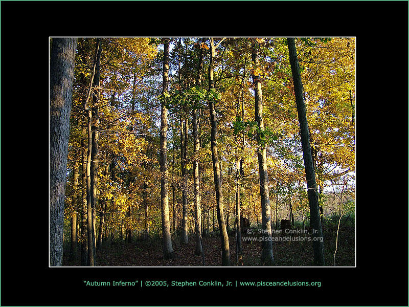 Autumn Inferno Autumn Inferno