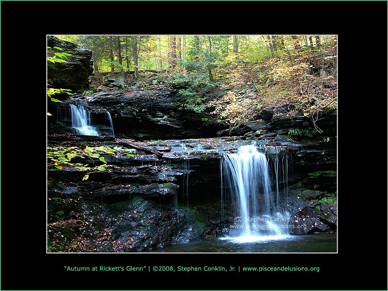 Autumn at Rickett's Glen Autumn at Rickett's Glen
