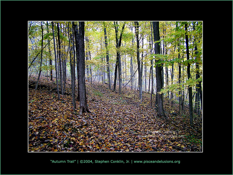 Autumn Trail Autumn Trail