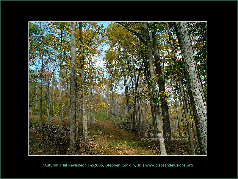 Autumn Trail Revisited Autumn Trail Revisited