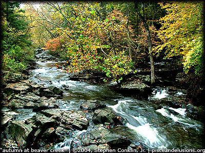Autumn at Beaver Creek