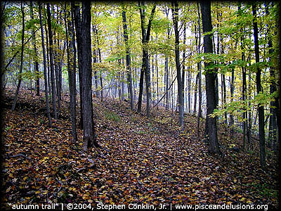 Autumn Trail