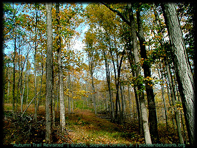 Autumn Trail Revisited
