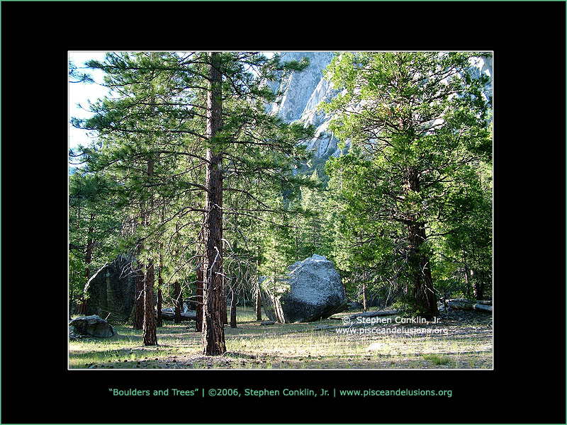Boulder and Trees Boulder and Trees