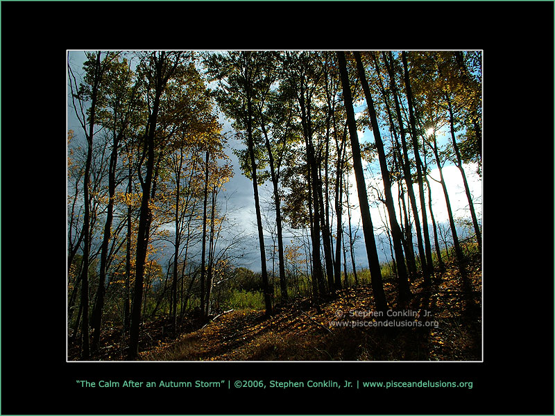 The Calm After an Autumn Storm The Calm After an Autumn Storm