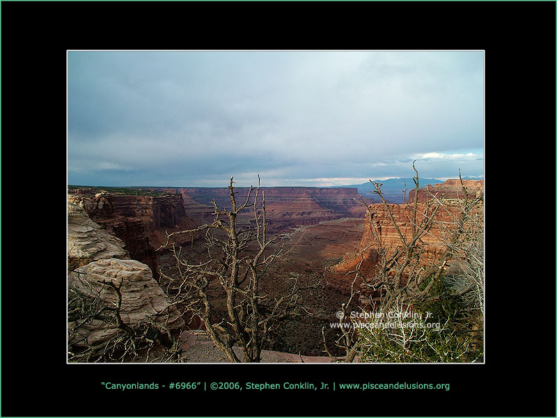 Canyonlands - #6966