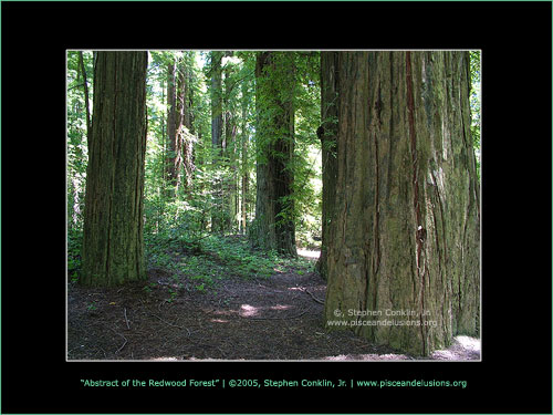 Redwood National Park
