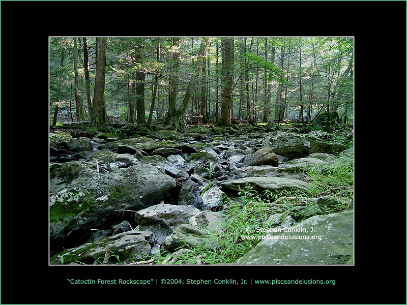Catoctin Forest Rockscape Catoctin Forest Rockscape