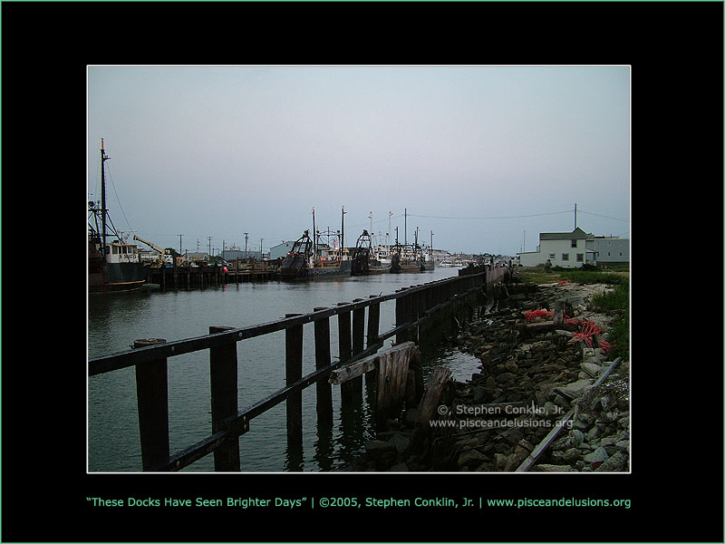These Docks Have Seen Brighter Days These Docks Have Seen Brighter Days