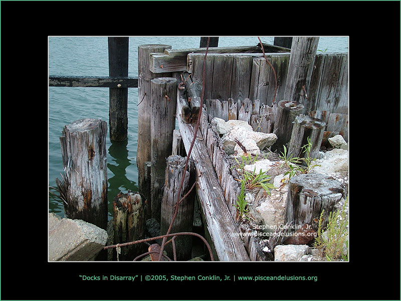 Docks in Disarray Docks in Disarray
