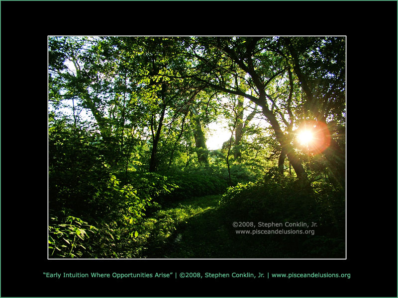 Early Intuition Where Opportunities Arise Early Intuition Where Opportunities Arise