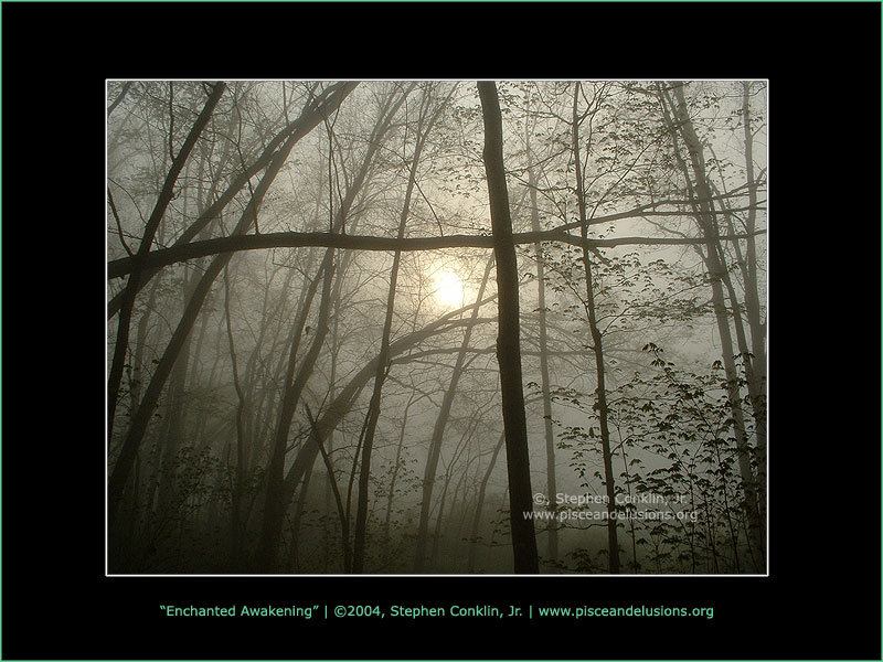 Enchanted Awakening Enchanted Awakening