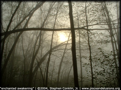 Enchanted Awakening