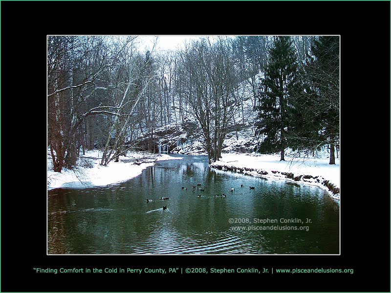 Finding Comfort in the Cold Finding Comfort in the Cold