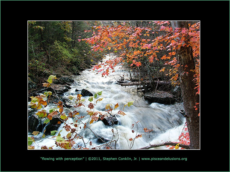 Flowing With Perception Flowing With Perception