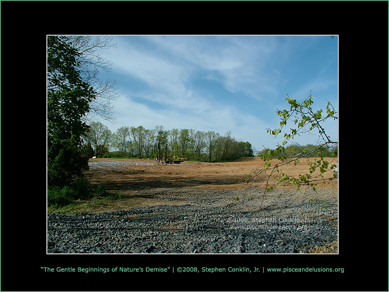 The Gentle Beginnings of Nature's Demise The Gentle Beginnings of Nature's Demise
