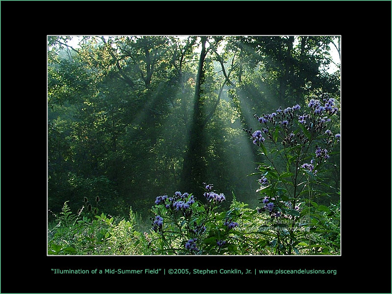 Illumination of a Mid-Summer Field Illumination of a Mid-Summer Field