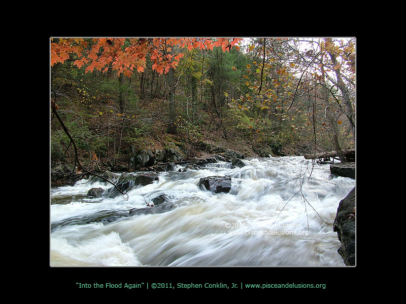 Into the Flood Again Into the Flood Again