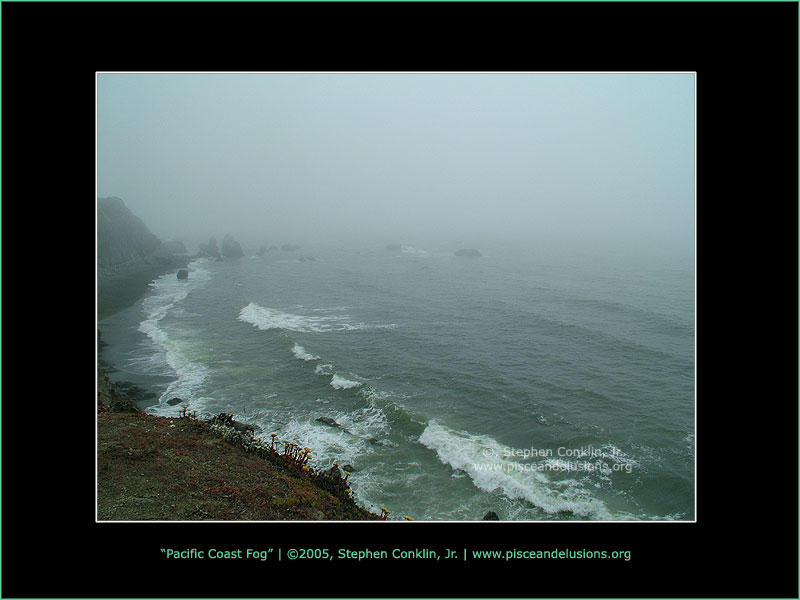 Pacific Coast Fog Pacific Coast Fog