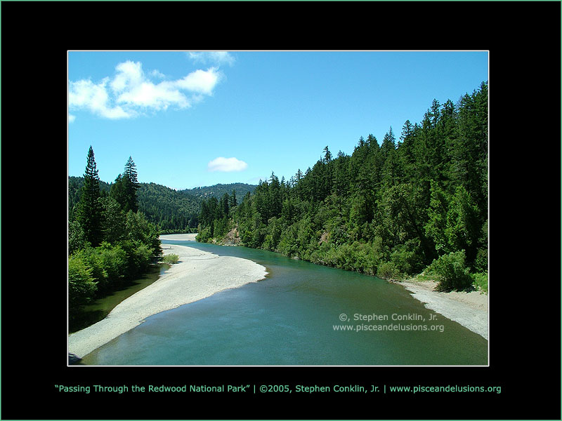 Passing Through the Redwood National Park Passing Through the Redwood National Park