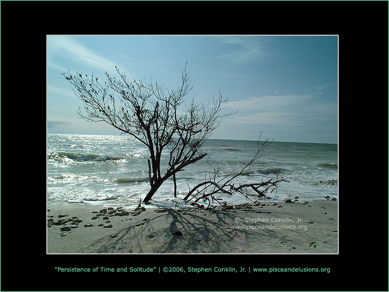 Persistence of Time and Solitude Persistence of Time and Solitude