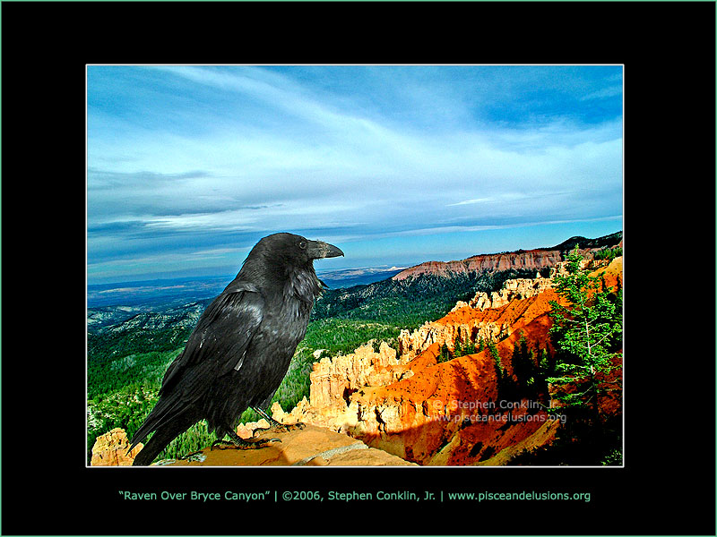 Raven Over Bryce Canyon Raven Over Bryce Canyon