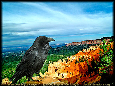 Raven Over Bryce Canyon