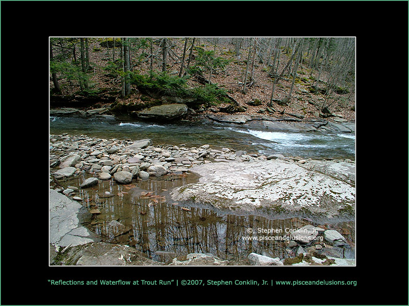 Reflections and Water Flow Along Trout Run