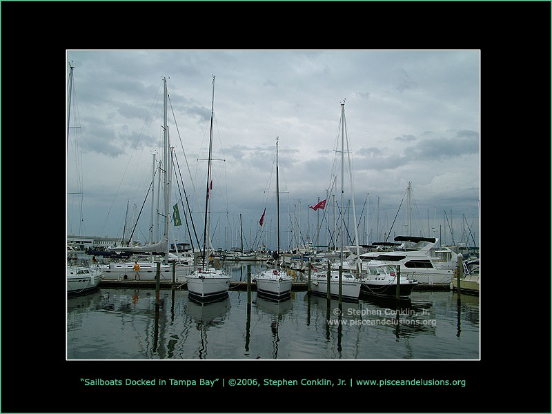 Sailboats Docked in Tampa Bay Sailboats Docked in Tampa Bay
