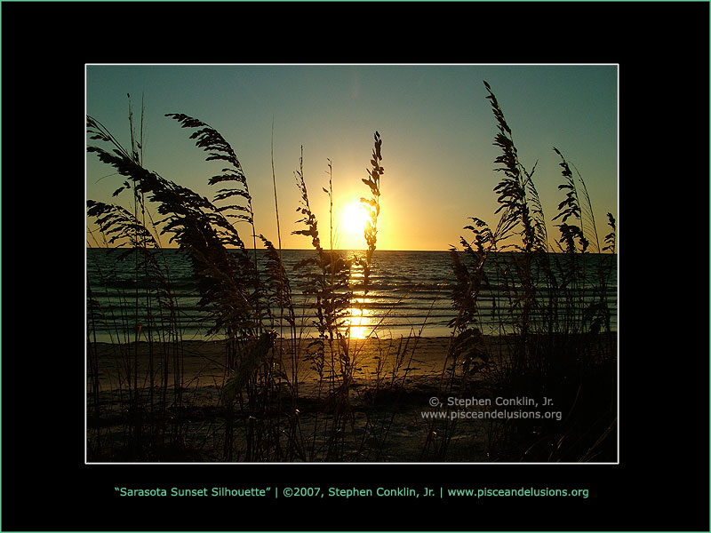 Sarasota Sunset Silhouette Sarasota Sunset Silhouette