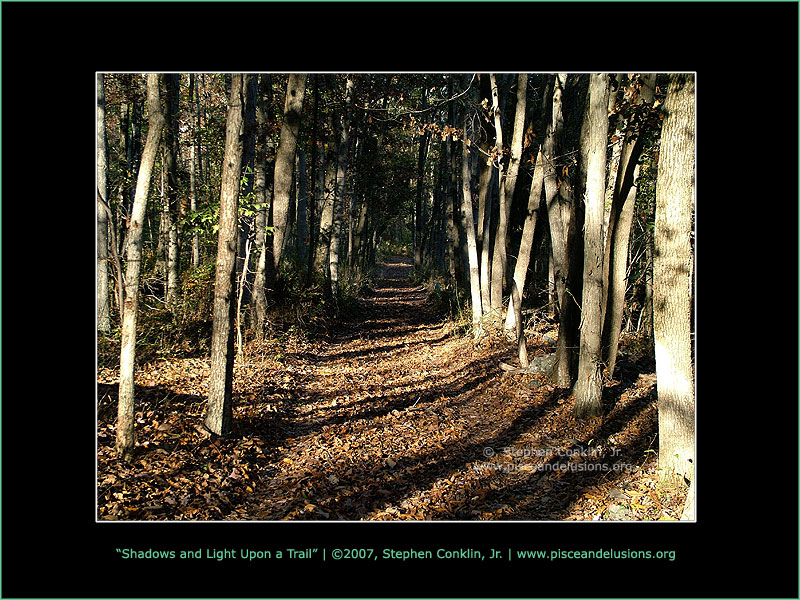 Shadows and Light Upon a Trail Shadows and Light Upon a Trail
