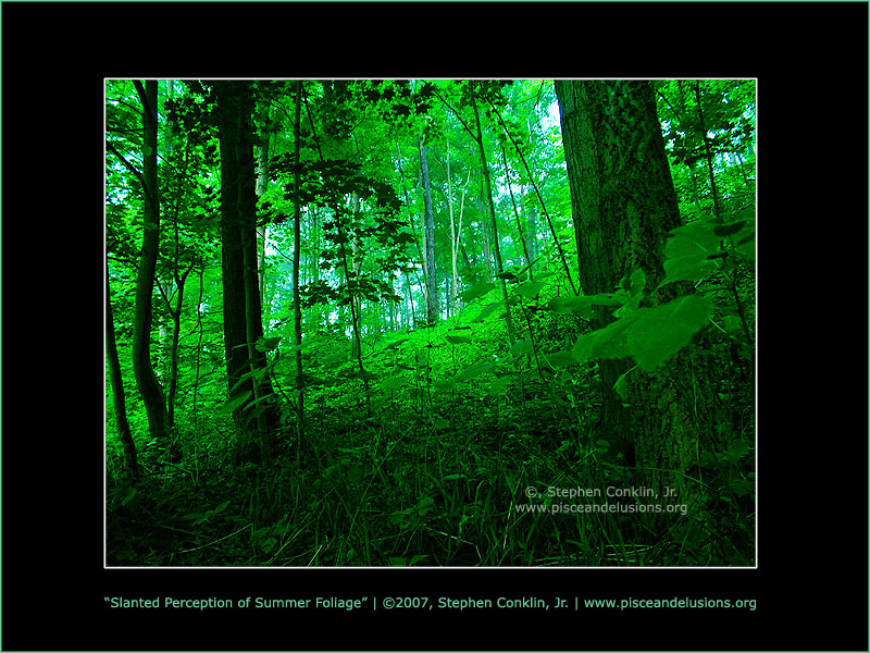 Slanted Perception of Summer Foliage Slanted Perception of Summer Foliage