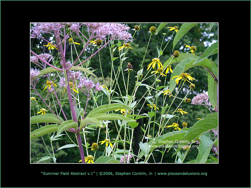 Summer Field Abstract v.1 Summer Field Abstract v.1