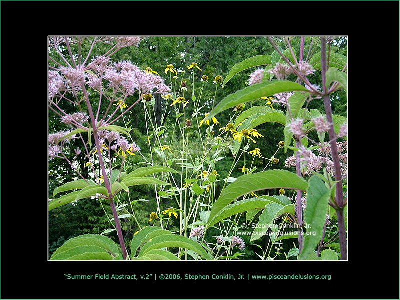 Summer Field Abstract v.2 Summer Field Abstract v.2