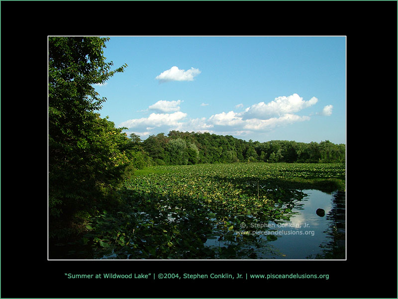 Summer at Wildwood Lake