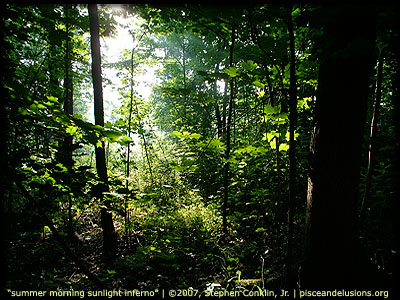 Sunlight Inferno Sunlight Inferno