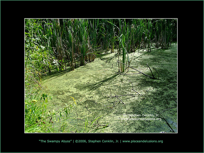 The Swampy Abyss The Swampy Abyss