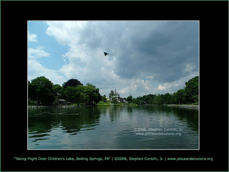 Taking Flight Over Children's Lake, Boiling Springs, PA Taking Flight Over Children's Lake, Boiling Springs, PA