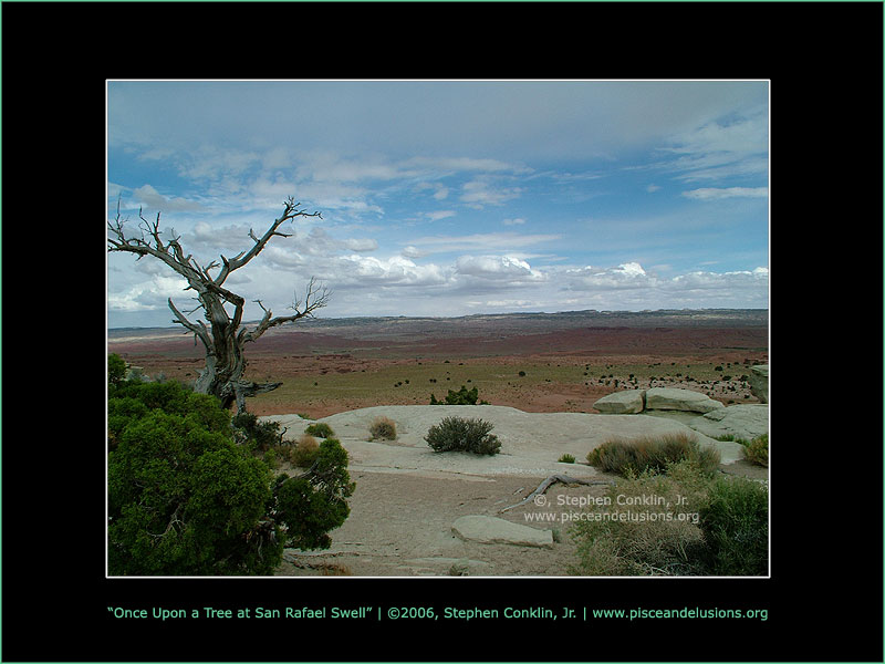 Once Upon a Tree at San Rafael Swell Once Upon a Tree at San Rafael Swell