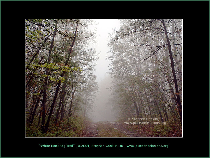 White Rock Fog Trail, by Stephen Conklin, Jr. - pisceandelusions.org