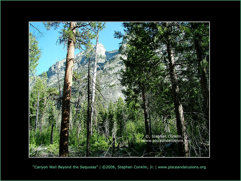 Canyon Wall Beyond the Sequoias Canyon Wall Beyond the Sequoias