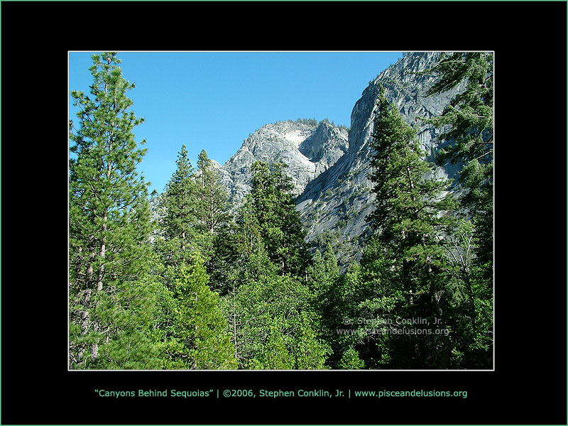 Canyons Behind Sequoias Canyons Behind Sequoias