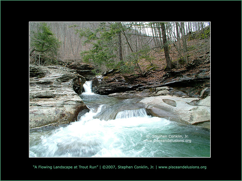 A Flowing Landscape at Trout Run A Flowing Landscape at Trout Run